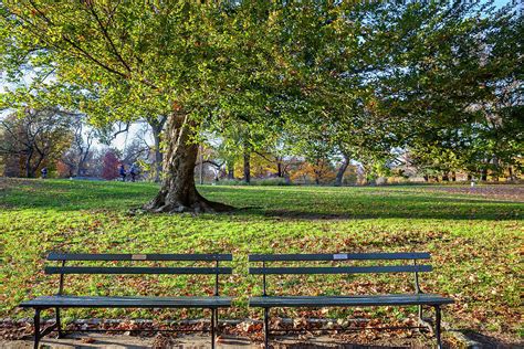 Central Park, Benches In Nyc Digital Art by Lumiere - Pixels