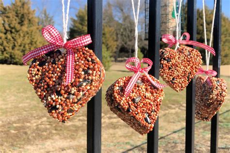 Bird Seed Cakes: Easy DIY Wild Bird Feeder Cakes