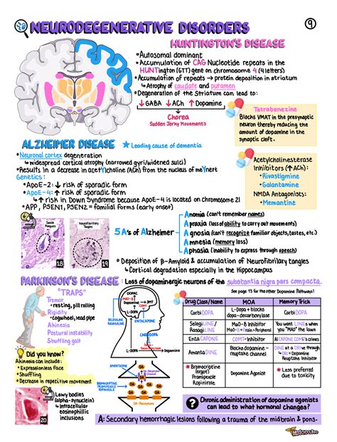 Neurology: Rapid Review – MedSchoolBro