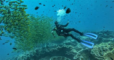 Palawan El Nido Discover Scuba Diving for Beginners with Equipment, Tank, Weight Belt & Snacks ...