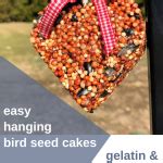 Bird Seed Cakes: Easy DIY Wild Bird Feeder Cakes