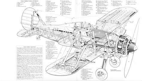 Gloster Gladiator - why the radiator on the starboard fuselage ...