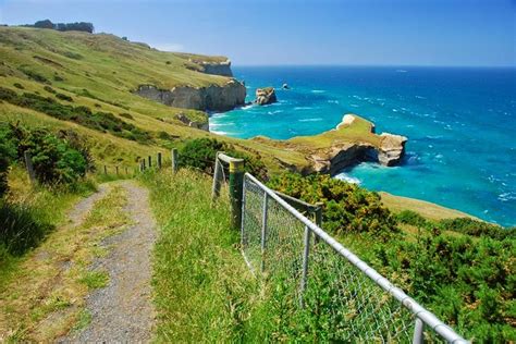 The Tunnel on the Beach of Dunedin, New Zealand | Never Ever Seen Before