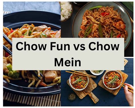 Chow Fun vs Chow Mein: Comparing Two Chinese Noodle Dishes - Drizzle Me ...