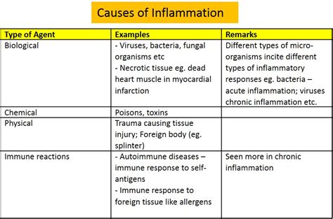 II. What causes inflammation? – NUS Pathweb :: NUS Pathweb