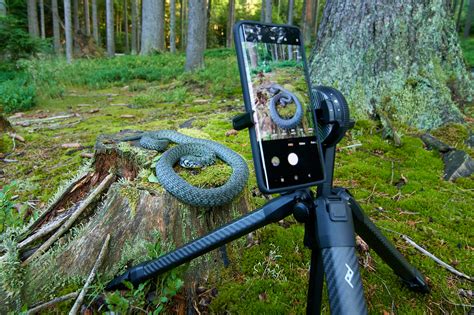 What to Take on a Wildlife Photography Trip