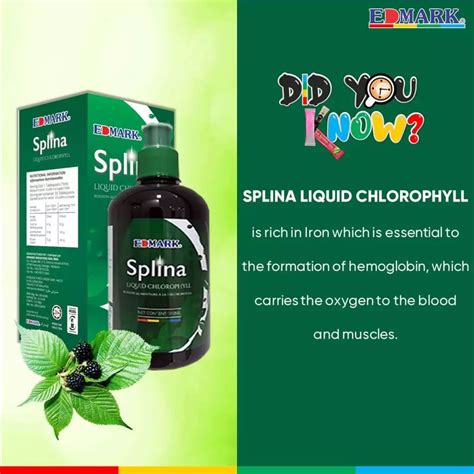 Splina Liquid Chlorophyll: For Proper Detox And Digestive System Cleansing