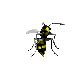 Animated Bee And Wasp Gifs at Best Animations