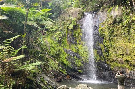 El Yunque National Forest Guide - Travel Lemming