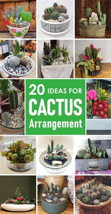 20 Ideas for Cactus Arrangement for Your Summer Decoration - Talkdecor