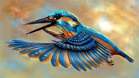 Kingfisher Wallpaper Hd- WallpaperUse