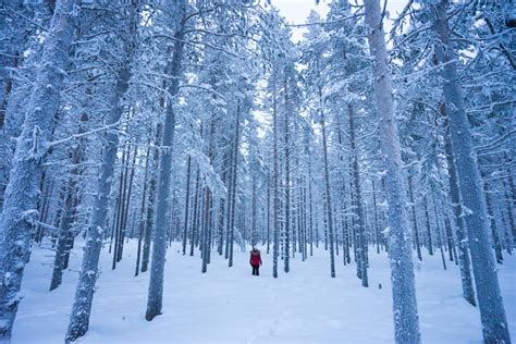 Breathtaking Finland: Why You Must See Äkäslompolo