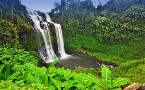 Attractions Waterfall Champasak Located On The Big Loop On The Bolaven Plateau Laos Pakse ...