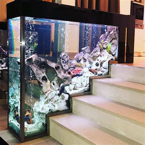 an aquarium with many different types of fish in it and steps leading ...