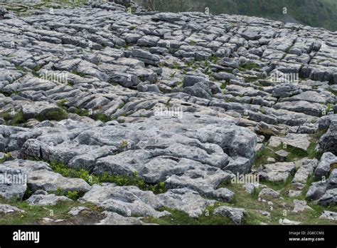 Limestone pavement Malham Cove Yorkshire Dales Stock Photo - Alamy