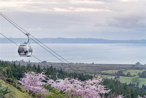 Long weekend in Rotorua - 4-day itinerary | Non Stop Destination