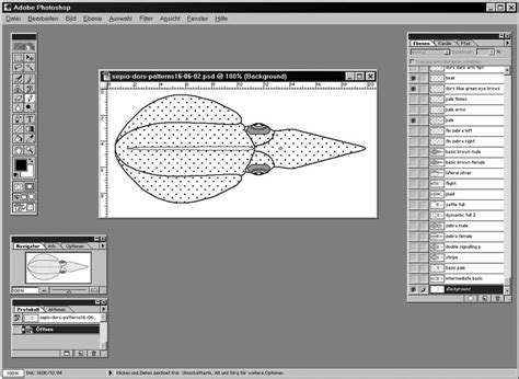 Adobe PhotoShop® screen shot. On the right side of the picture the... | Download Scientific Diagram