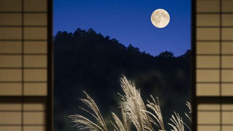 Moon Kyoto – Bing Wallpaper Download