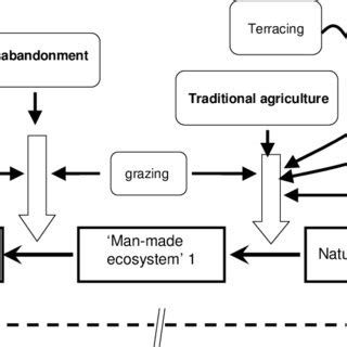 The creation of "man-made ecosystem" via various channels of human ...