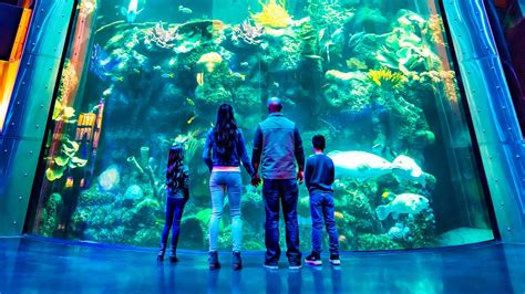 Branson Aquarium - What's New, Schedule, Prices, Hours