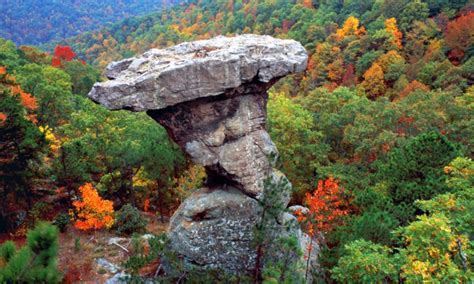 Ozark National Forest, Sylamore District | Arkansas.com