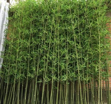 Fake Bamboo Garden Fence For Hedge Decor Backyard Decor Artificial ...