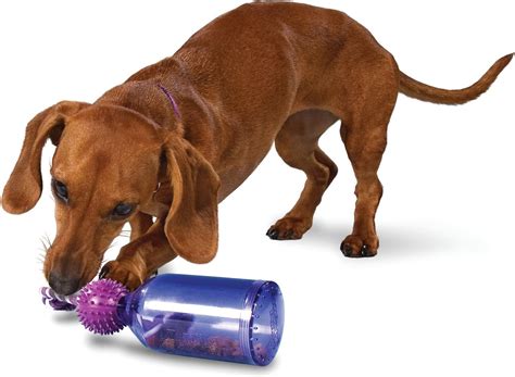 Busy Buddy Tug-A-Jug Dog Toy, Small - Chewy.com