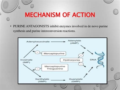 Alkylating Agents & Anti-metabolites Chemotherapy