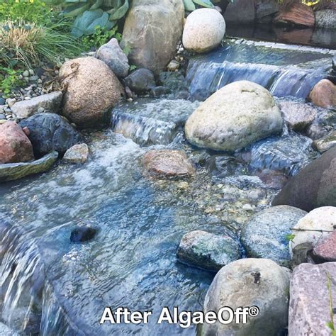 CrystalClear AlgaeOff | String Algae Remover | The Pond Guy