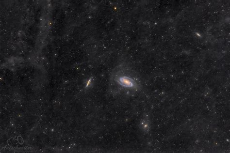 Galaxy Wars: M81 and M82