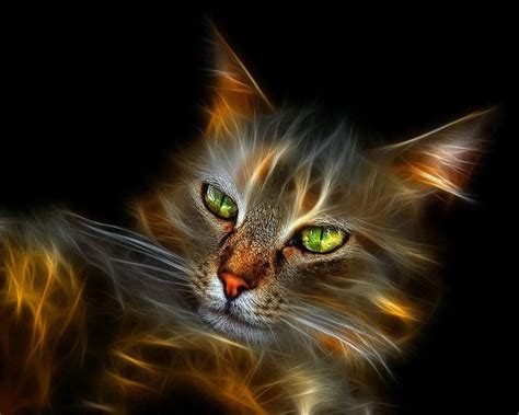 Neon Cat Wallpapers - Top Free Neon Cat Backgrounds - WallpaperAccess