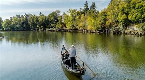 California Wine Country Tours: Unique Experiences in Napa and Sonoma