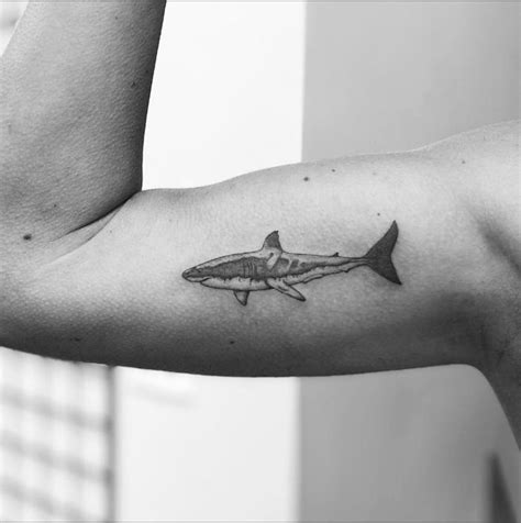 Great White Shark Drawings Tattoo