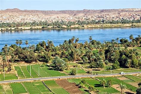 Nile River Egypt Farm Agriculture Stock Photos, Pictures & Royalty-Free Images - iStock