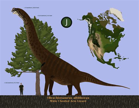 Brachiosaurus Size Comparison by Harry-the-Fox on DeviantArt