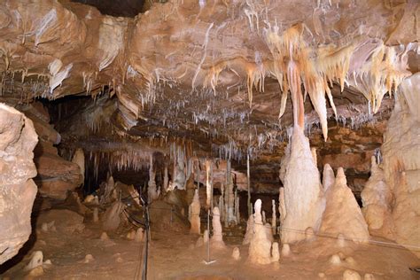 La grotte de Cussac, temple artistique et crypte funéraire de la préhistoire