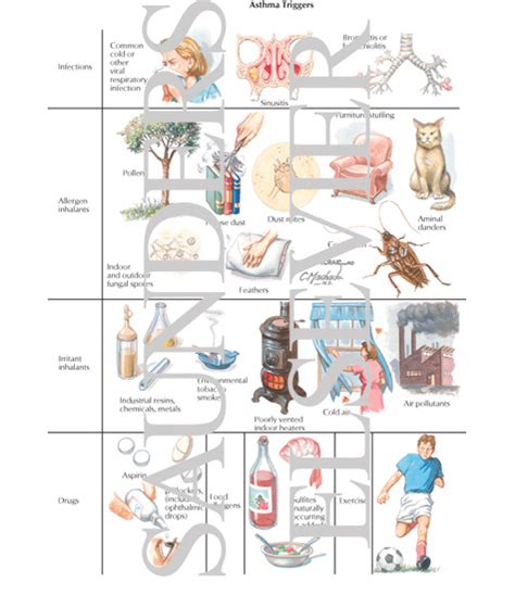 Asthma Triggers