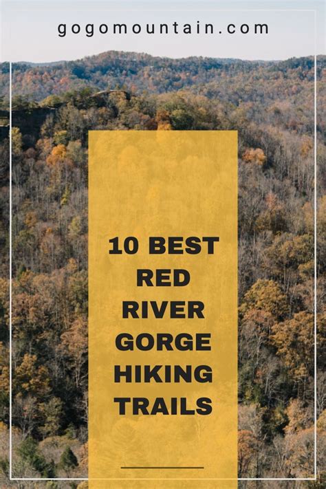 10 Best Hikes in Red River Gorge Hiking Trails | Red river gorge, Red ...