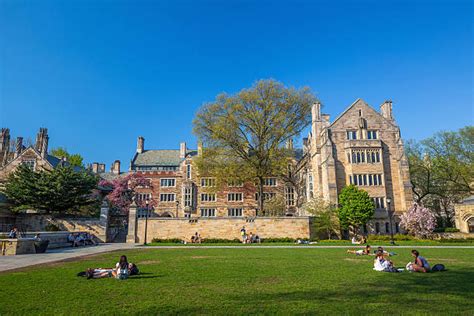 Best Yale University Campus Stock Photos, Pictures & Royalty-Free Images - iStock