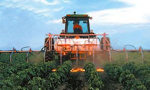 Flame weeder - Flame Engineering - mounted / mid-row