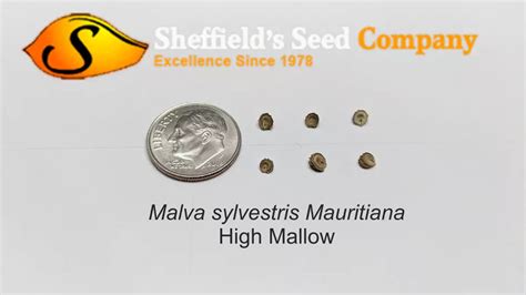 Sheffield's Seed Company