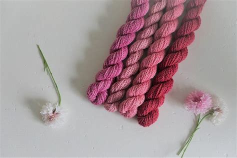 Natural Dyeing With Cochineal - Rosemary And Pines Fiber Arts