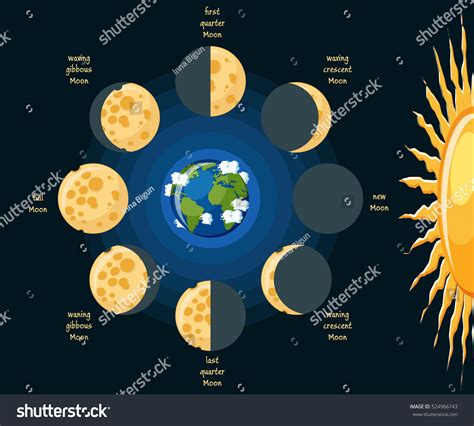 Basic Moon Phases Diagram Cheese Moon Stock Vector 524966743 - Shutterstock