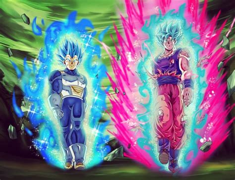 Vegeta and Goku: Super Saiyan Blue Evolution and Super Saiyan Blue Kaioken