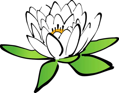 500+ Free Lotus & Flower Illustrations - Pixabay