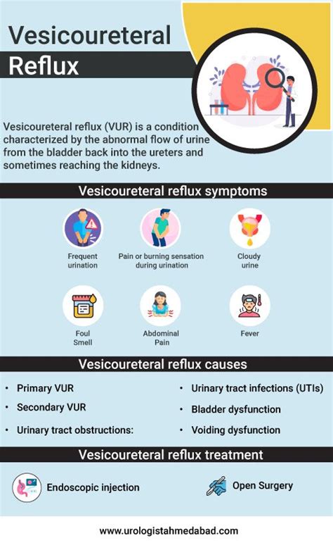 Vesicoureteral Reflux : Symptoms, Causes, and Treatment