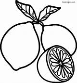 Lemon Coloring Pages 13 Free Printables  ColoringAll sketch template