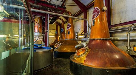 Old Bushmills Distillery in Bushmills | Expedia.co.uk