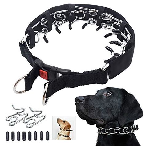 Mayerzon Prong Training Collar 2024 - Vet Ranch - We Love Pets