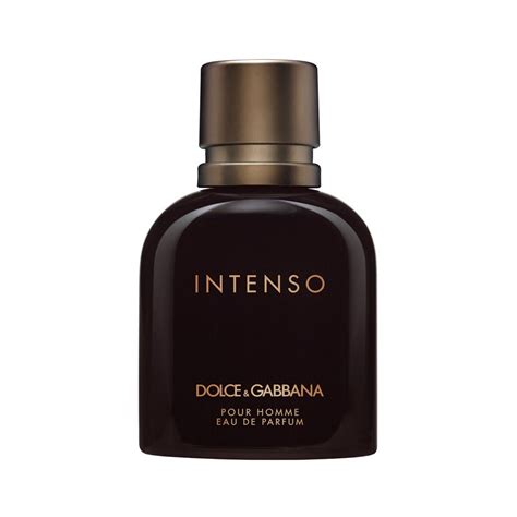 D&G Dolce & Gabbana Intenso Eau De Parfum Hommes - Shouet Paris